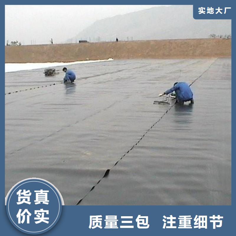 土工膜双向塑料土工格栅海量货源