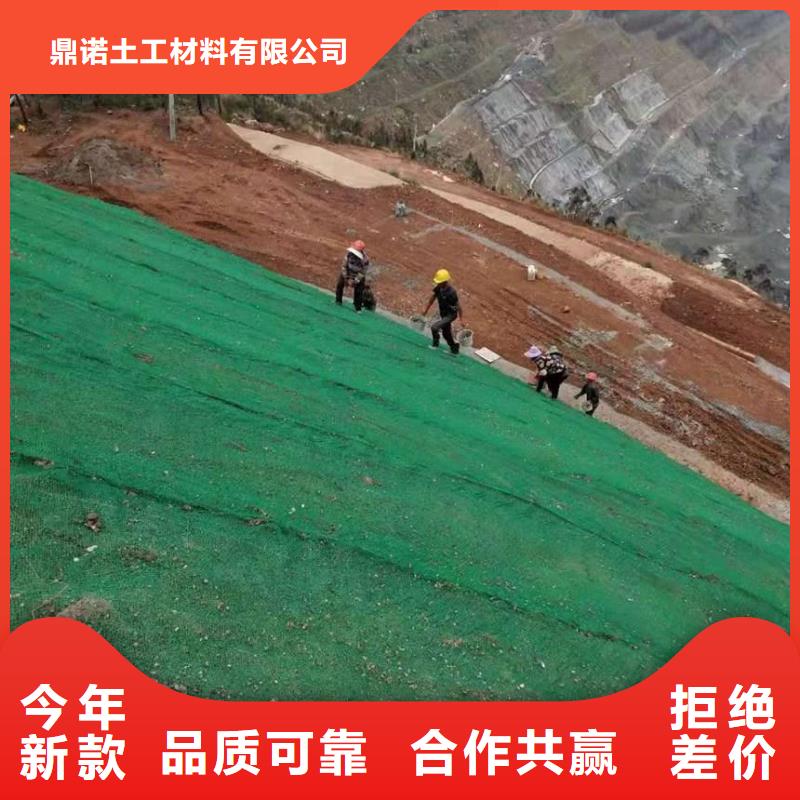 三维植被网护坡土工网源头厂家量大价优