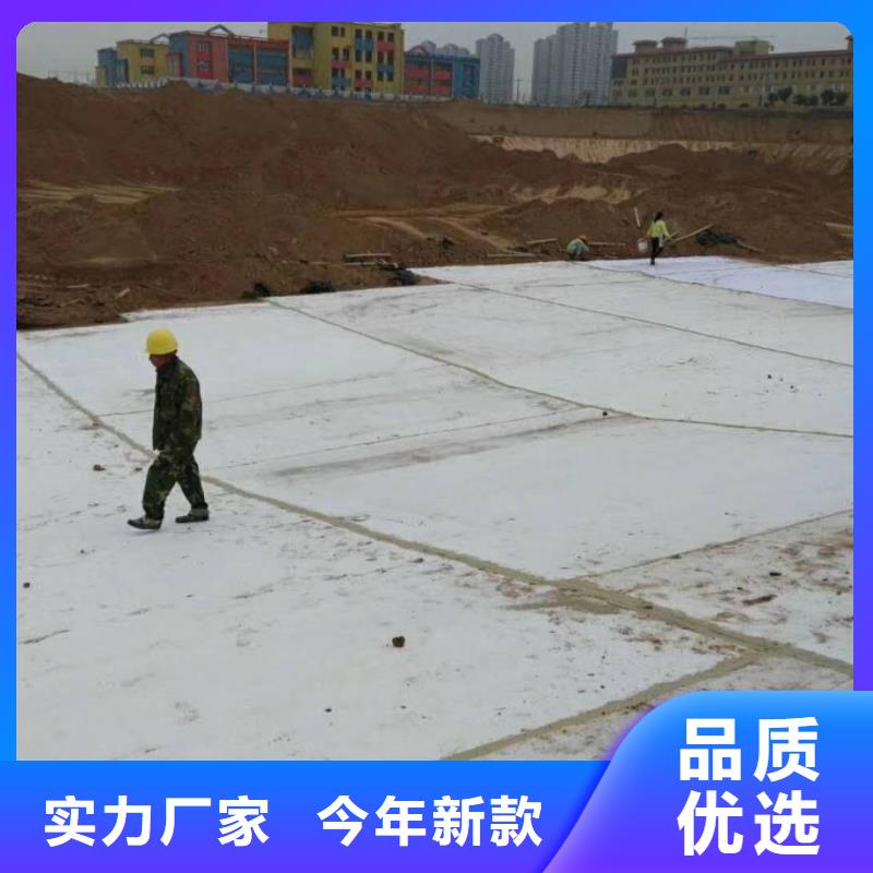 防水毯【钢塑土工格栅】免费询价