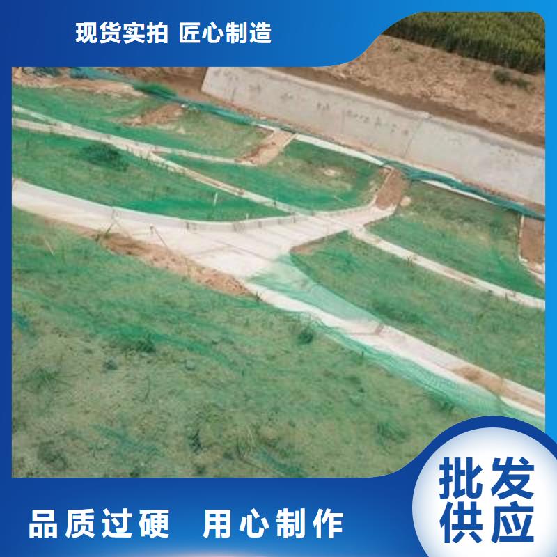 【三维植被网】三维水土保护毯匠心工艺