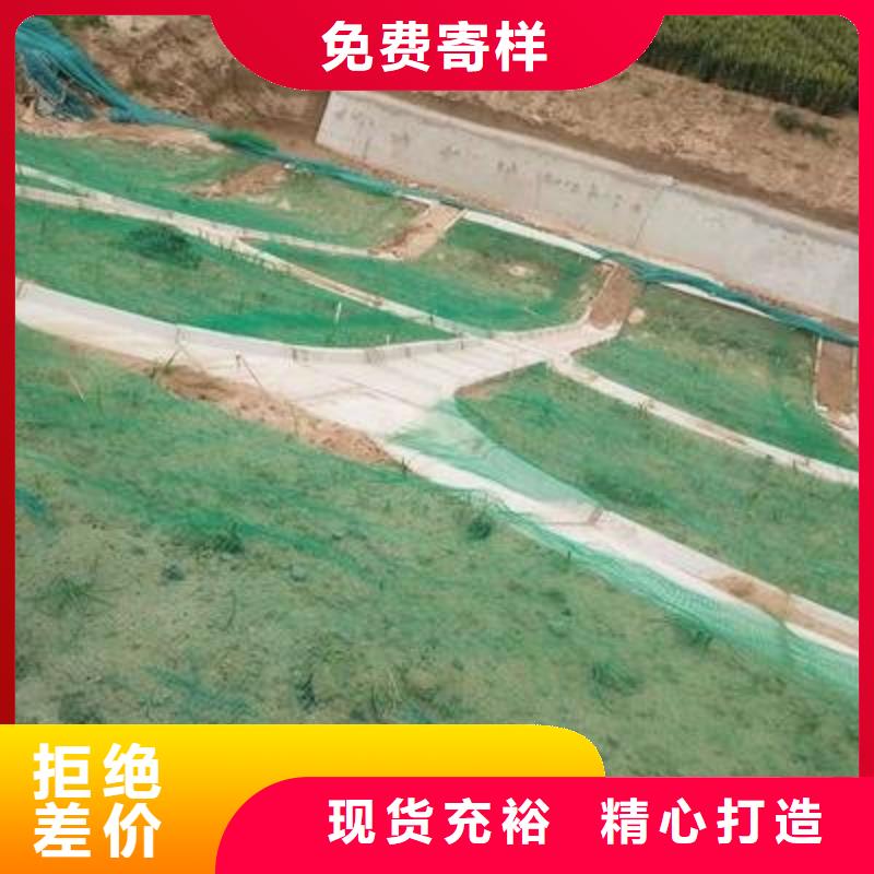 三维植被网【双向塑料土工格栅】供应商