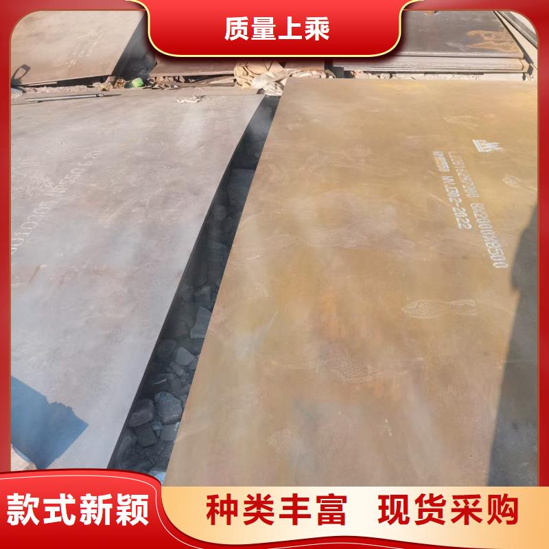 优质Q550高强板的供货商
