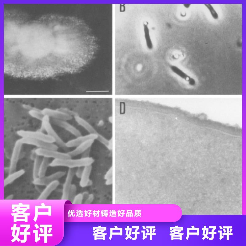 醋酸钠(碳源)上门服务