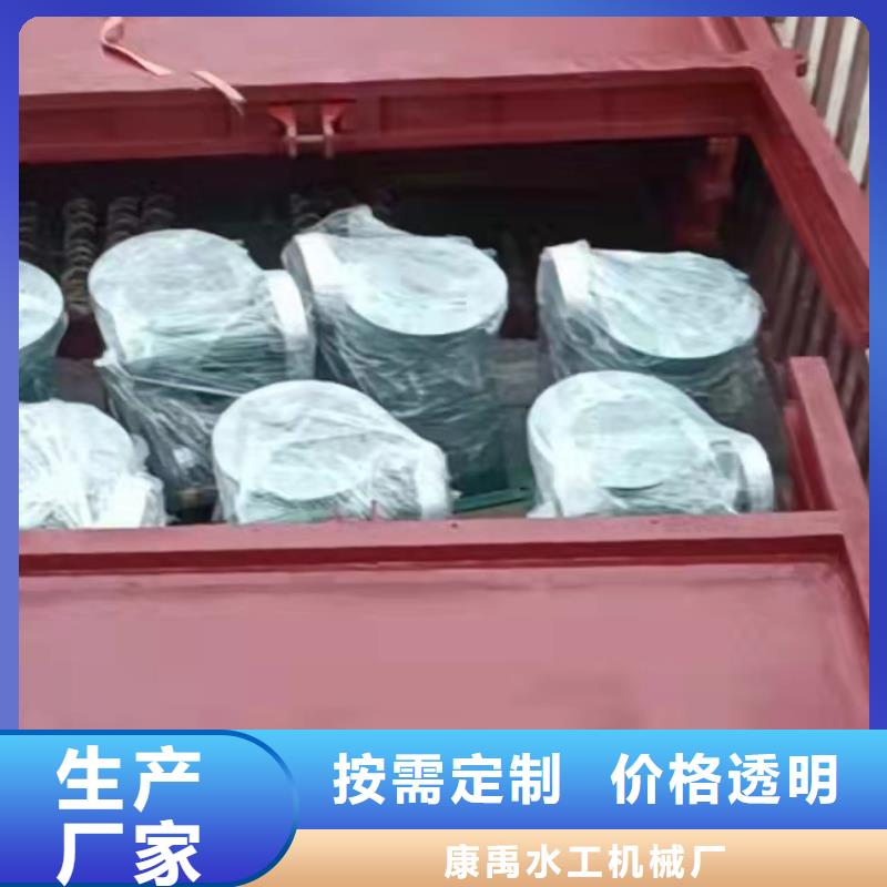 双向止水闸门-厂家