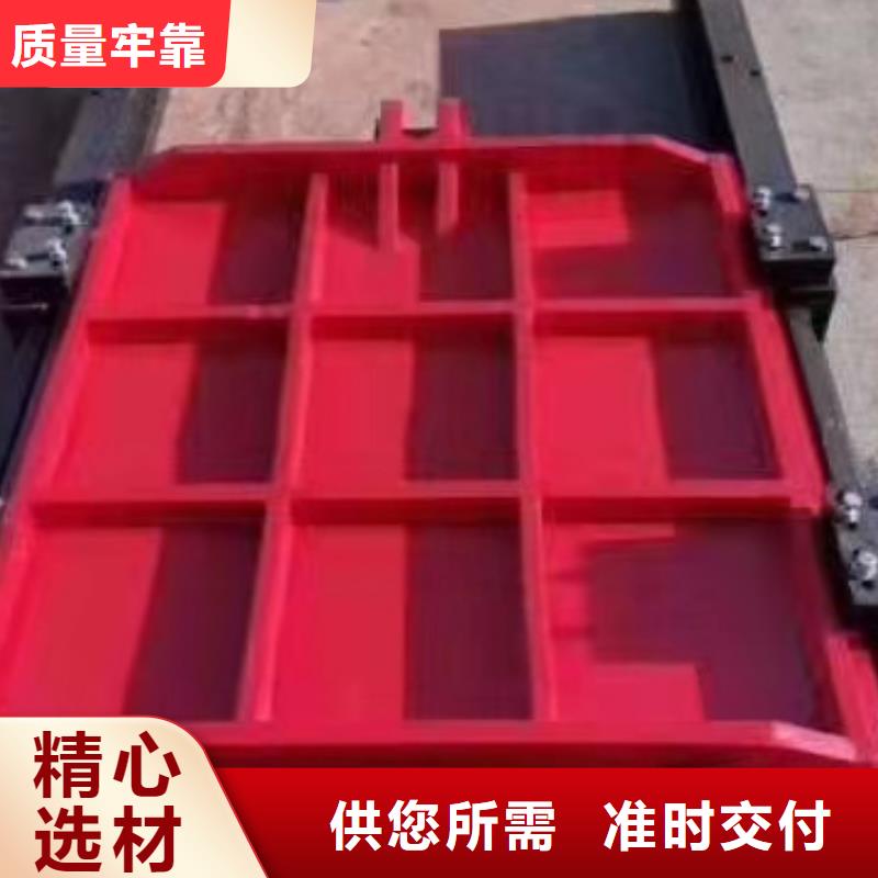 附壁式铸铁闸门本地供货商