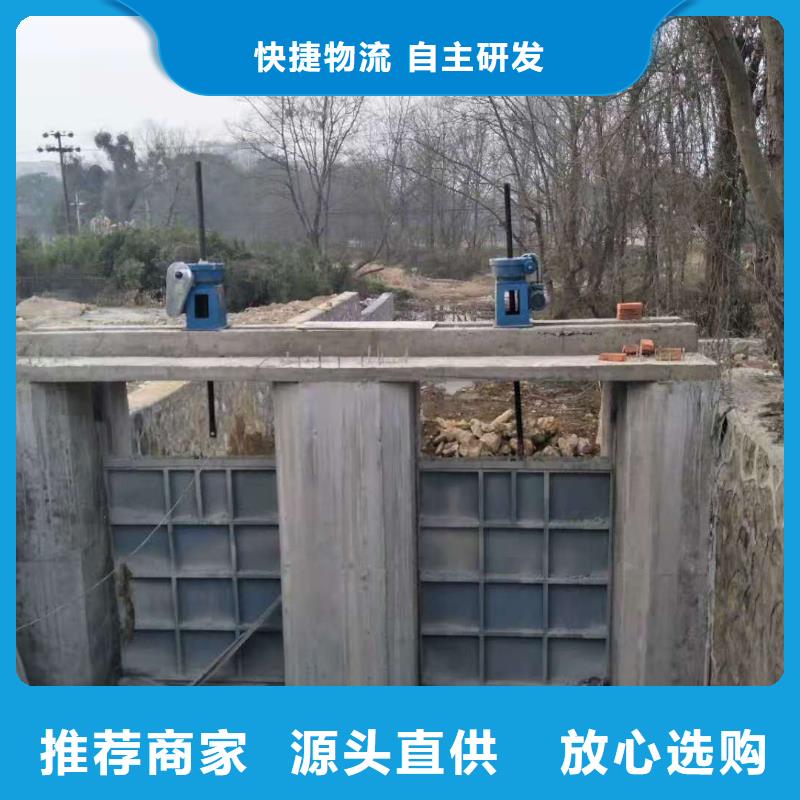 钢闸门实力厂家直销
