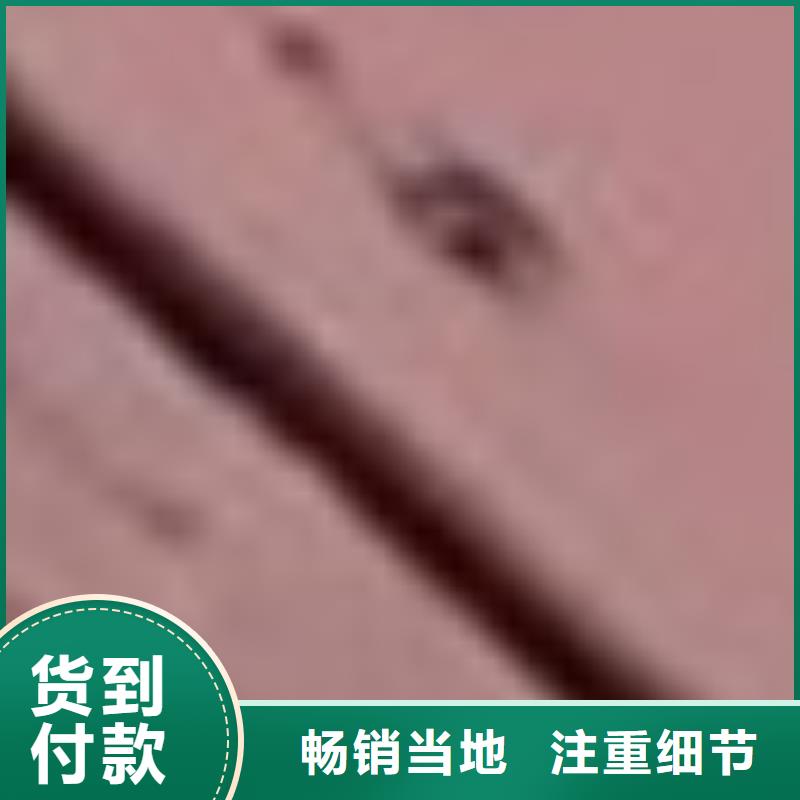 护栏立柱桥梁防撞护栏现货实拍