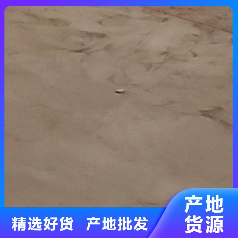 护栏桥梁护栏厂品质无所畏惧