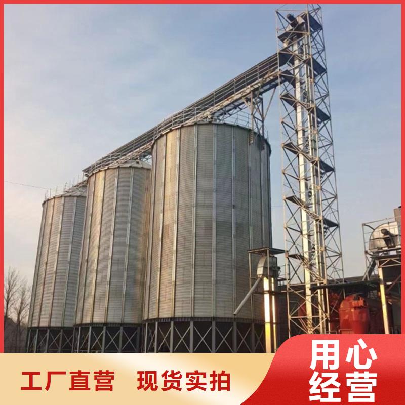 粮食立式筒仓用专业让客户省心
