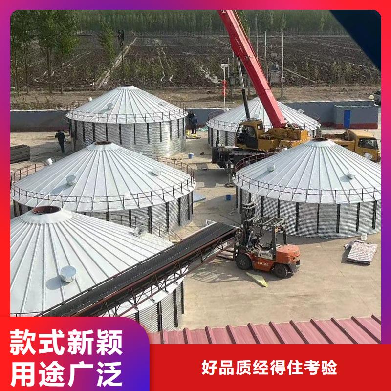 找1000吨玉米镀锌粮食钢板仓实体大厂