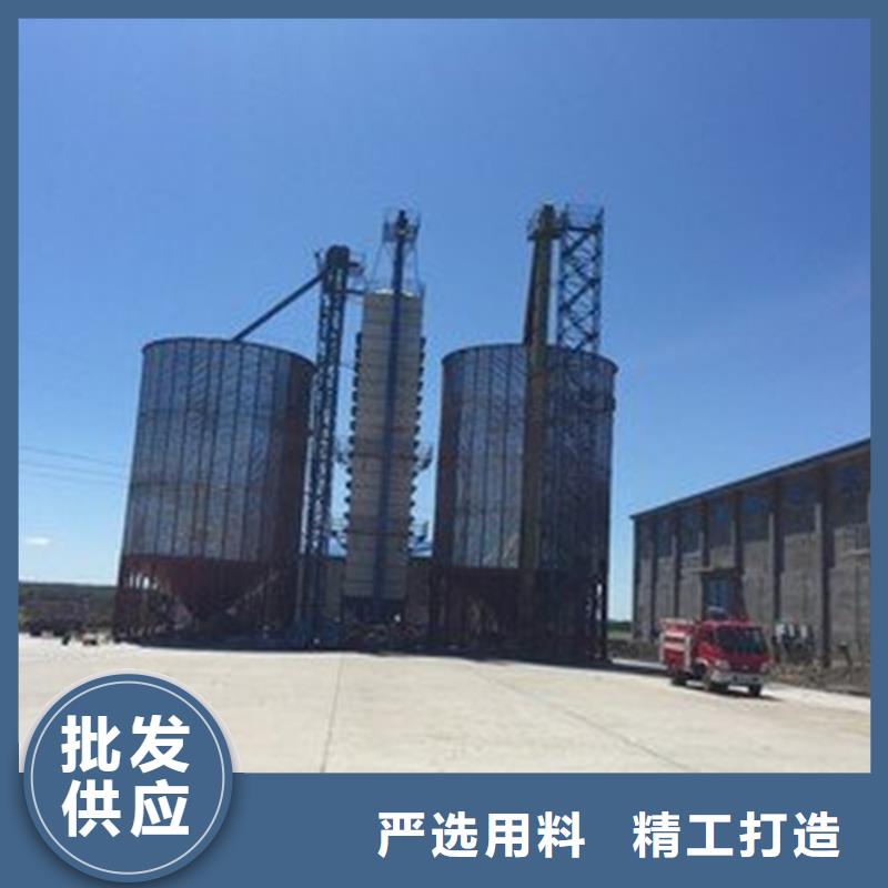 粮食立式筒仓加工工厂