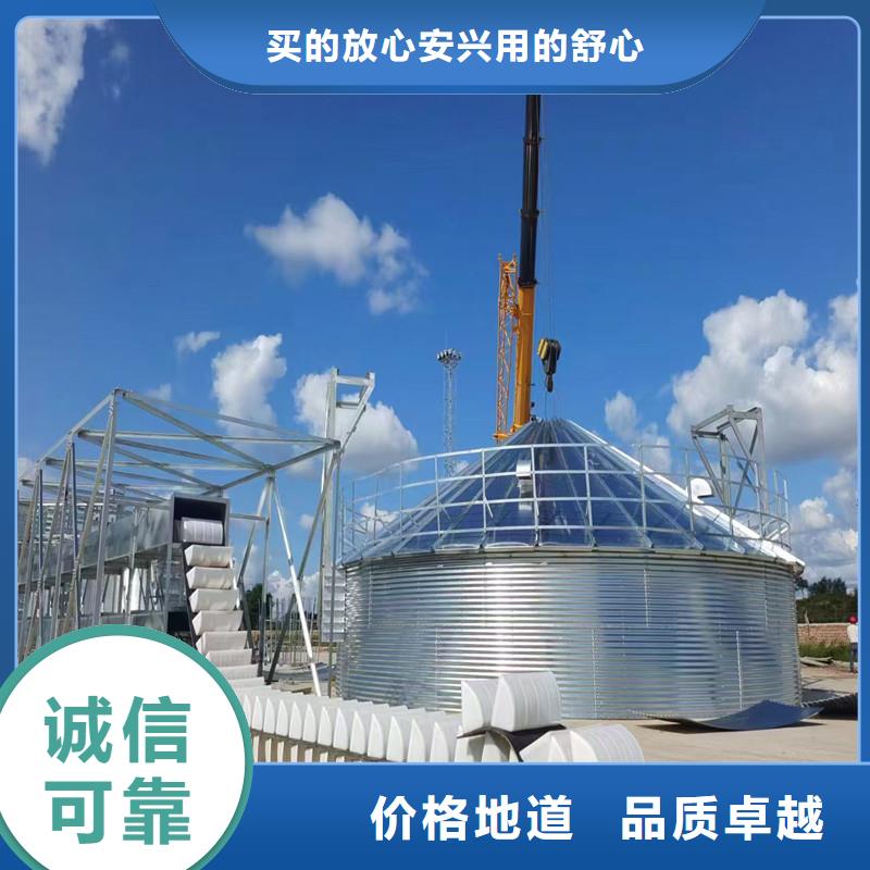 装配式钢板仓立式实业厂家