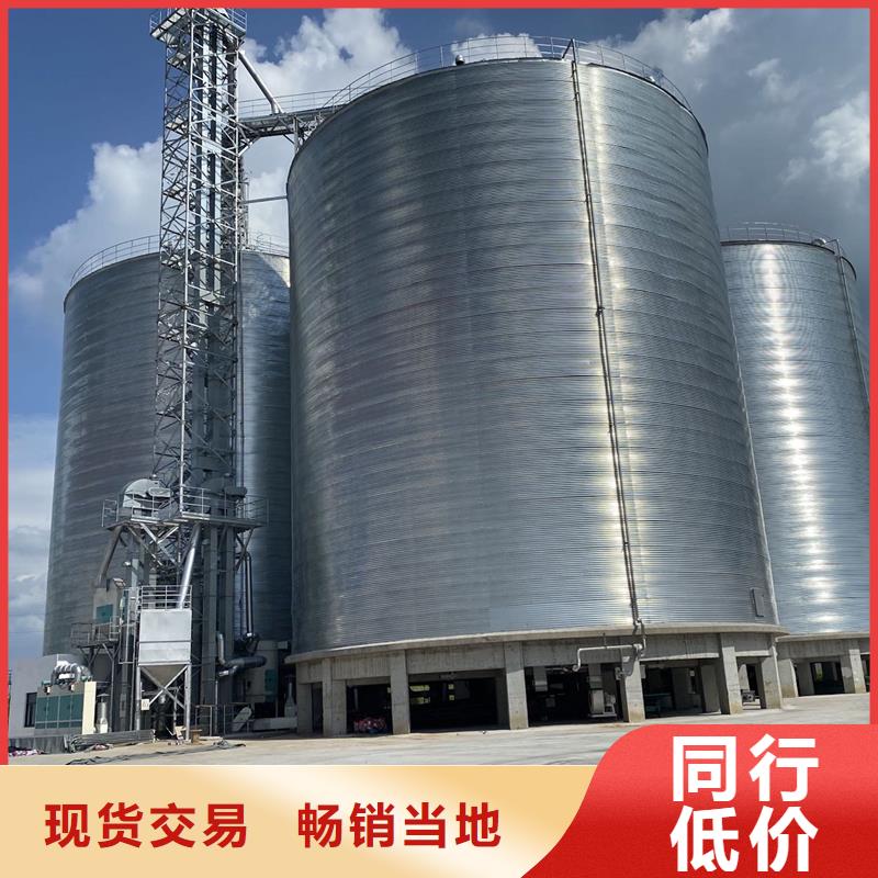 大型立式粮食储存仓现货供应-可定制