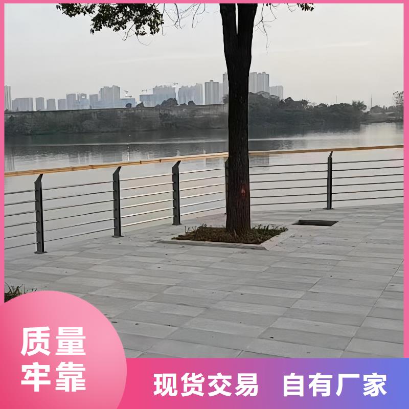 河道灯光护栏销售厂家