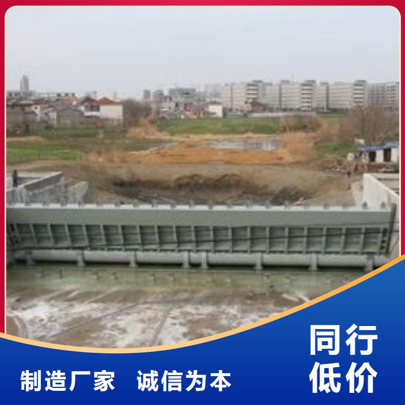  翻板闸门优选厂商