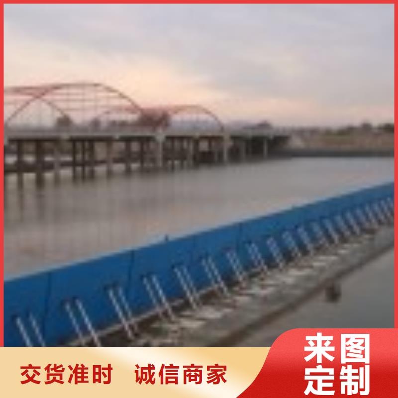 翻板闸门,拦污栅严选材质