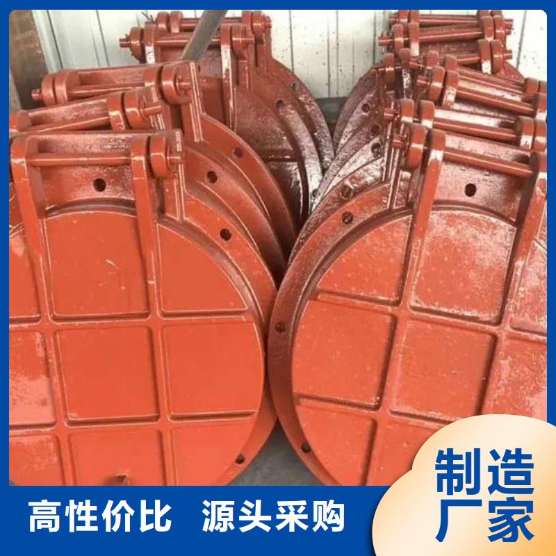 拍门 卷扬启闭机工厂现货供应