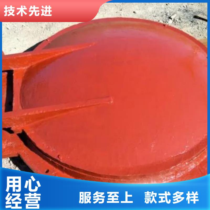 拍门球墨铸铁闸门N年专注