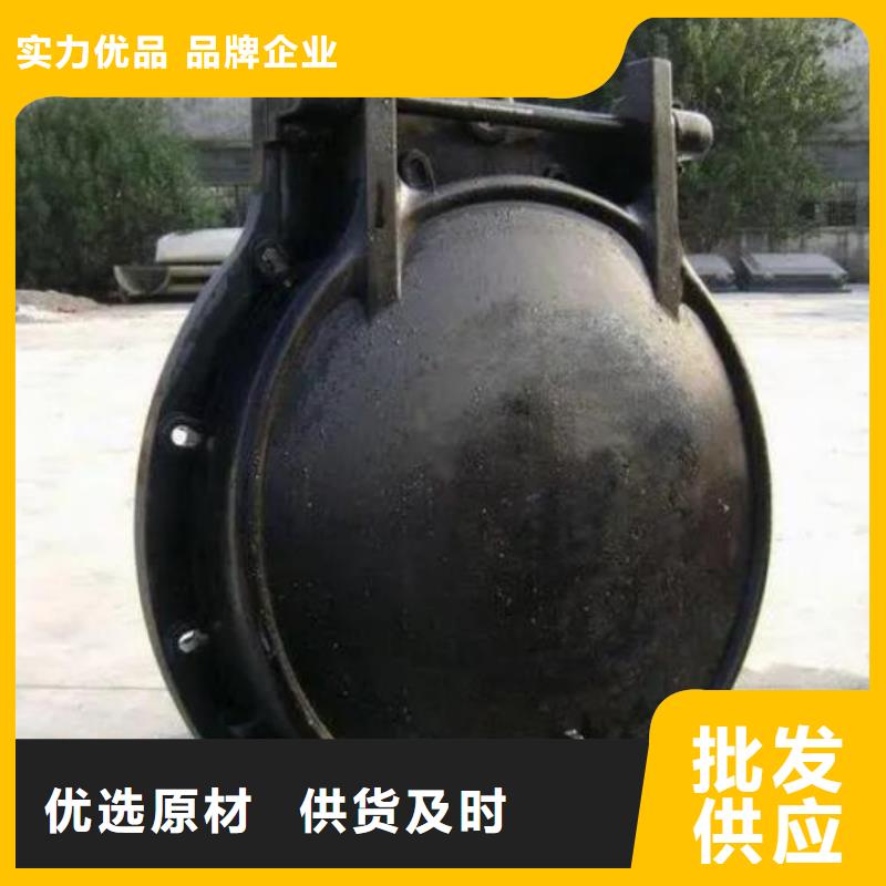 【拍门】钢制拍门厂家的图文介绍