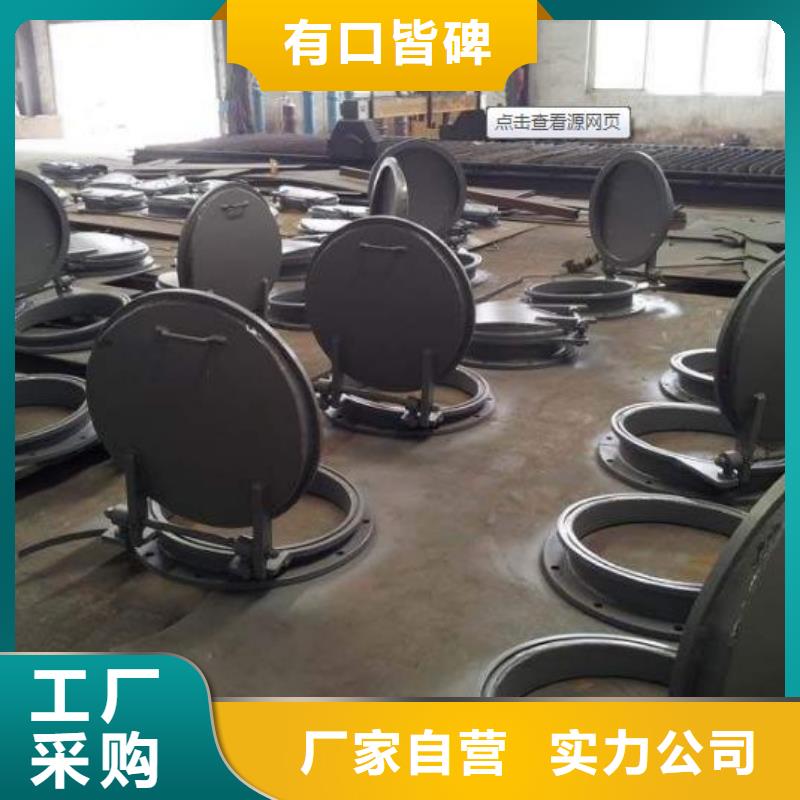 拍门钢制拍门品质过硬