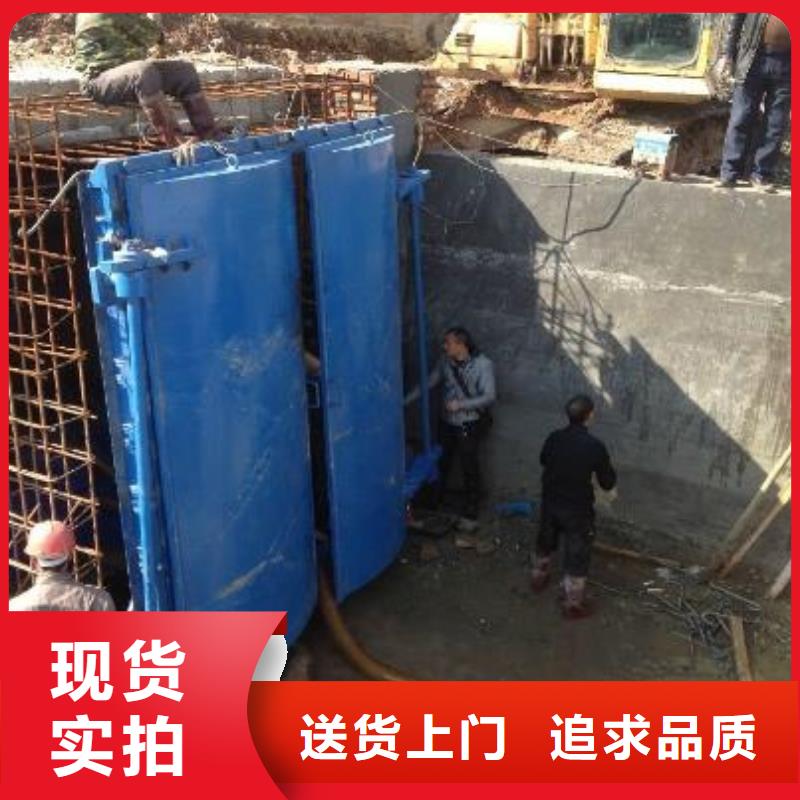 拍门铸铁拍门符合行业标准