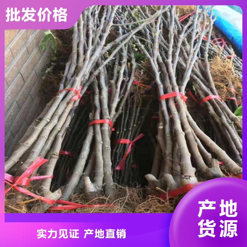 无花果油蟠7-7厂家质量过硬