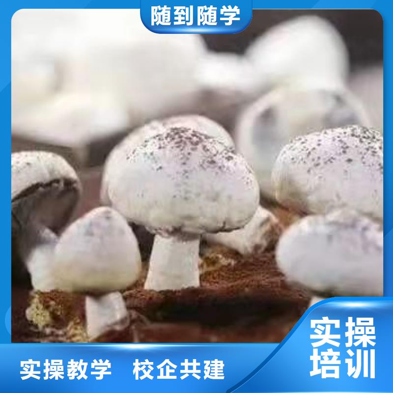 西点学校,糕点培训师资力量强