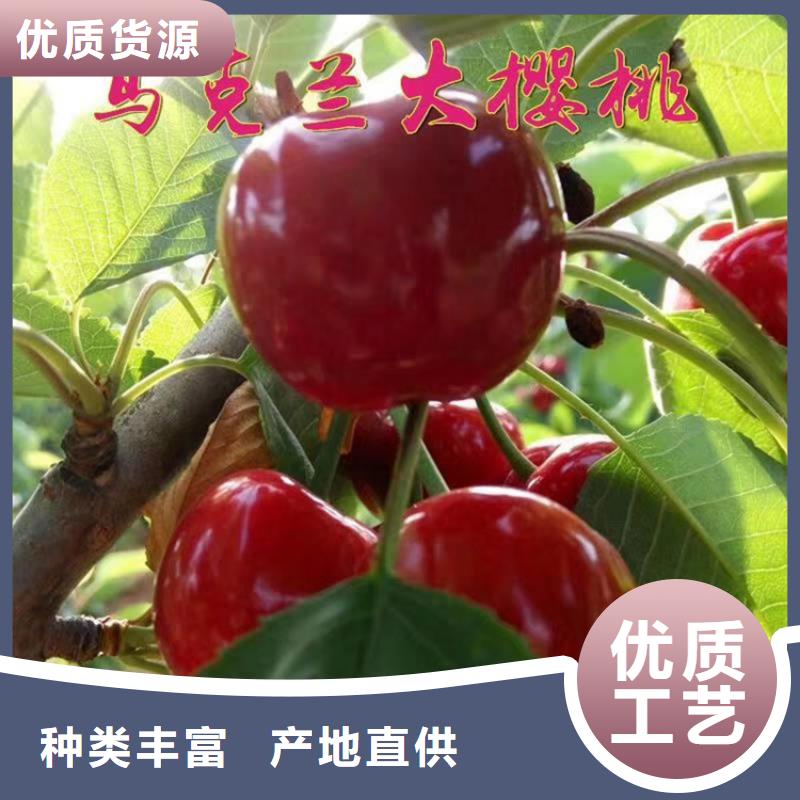 樱桃奶油草莓专注质量