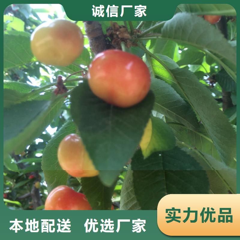南平聚合硫酸铁好产品放心购