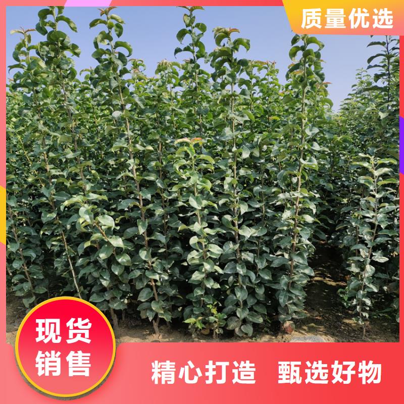 南平聚合硫酸铁好产品放心购