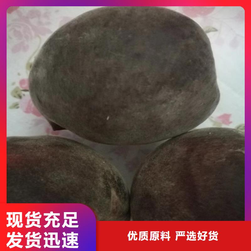 桃桃树苗认准大品牌厂家