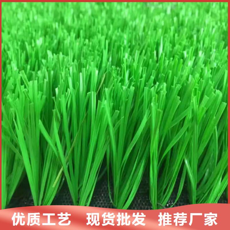 【人造草坪】-塑胶球场应用广泛