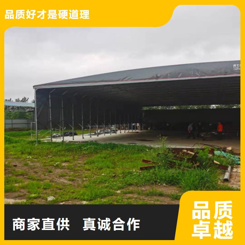 雨蓬帆布高品质诚信厂家