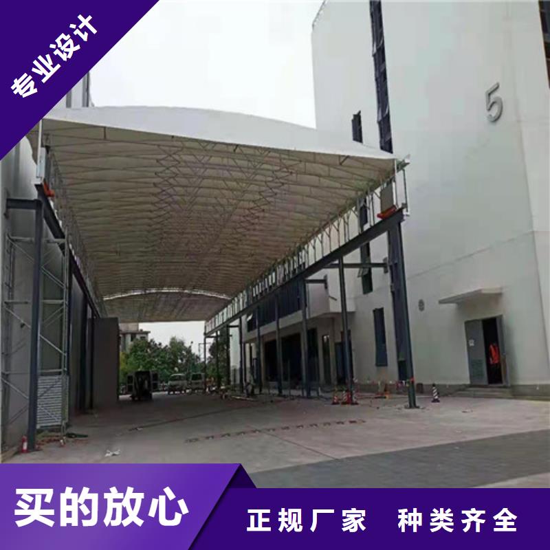 雨蓬品种全