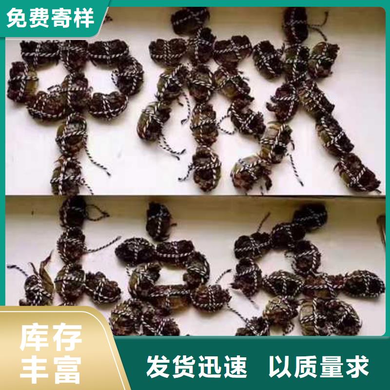 江苏阳澄湖大闸蟹哪里正宗