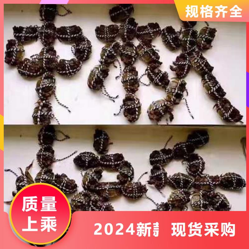 阳澄湖吃大闸蟹哪家正宗苏州这里好