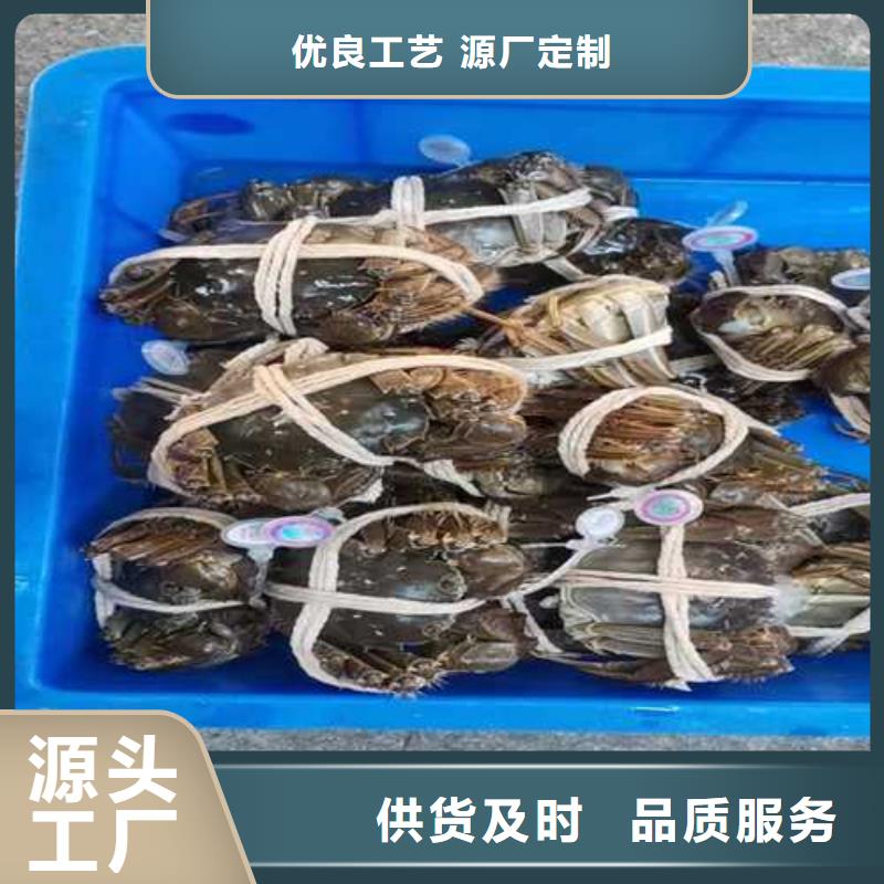 阳澄湖大闸蟹哪家正宗