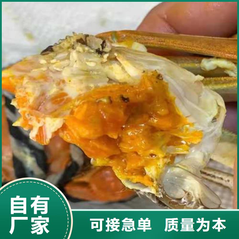 去阳澄湖吃蟹哪里正宗在苏州阳澄湖