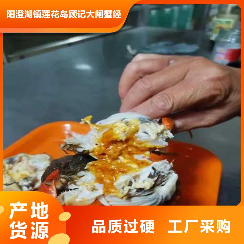 去阳澄湖吃蟹哪家正宗在苏州阳澄湖