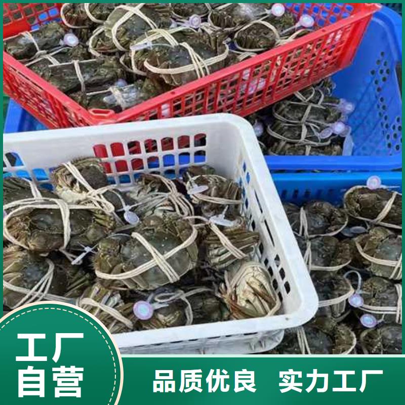 去阳澄湖蟹哪里好好吃在苏州阳澄湖