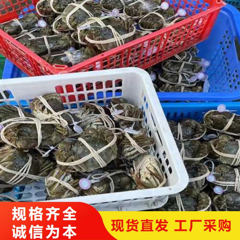 阳澄湖大闸蟹哪家正宗品质好