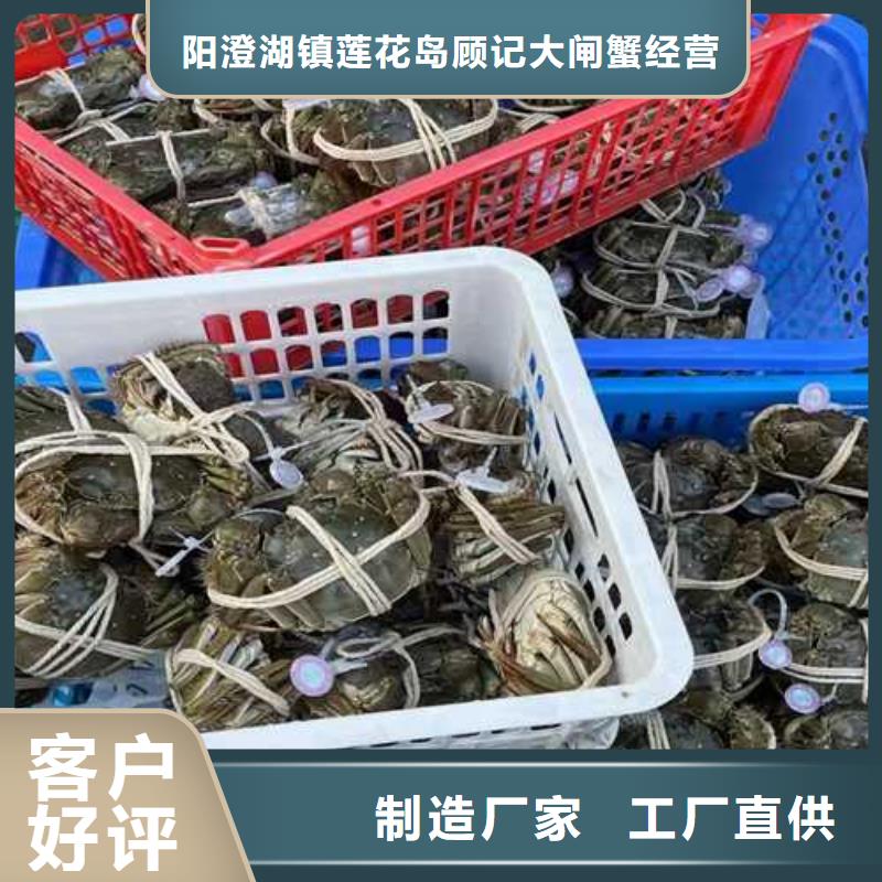 苏州阳澄湖农家乐哪家品质好味道好