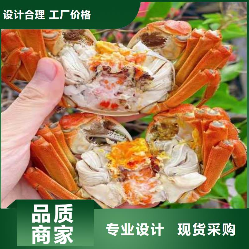 阳澄湖大闸蟹哪里正宗