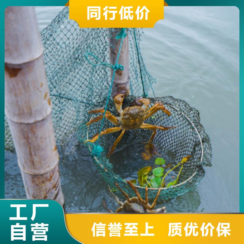 阳澄湖大闸蟹哪家好