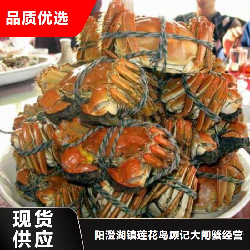 阳澄湖大闸蟹视频-阳澄湖大闸蟹-广东省湛江市【周边】服务商-廉江|吴川|河源|珠海|肇庆|佛山|潮州|梅州|茂名
