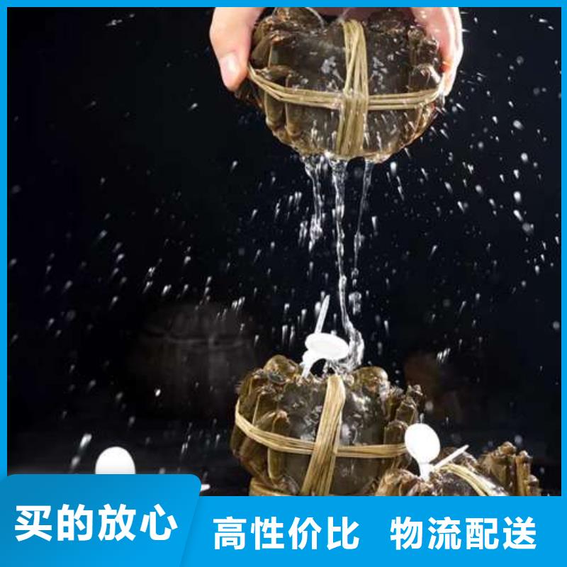 阳澄湖大闸蟹视频-阳澄湖大闸蟹-阳澄湖镇岛顾记大闸蟹经营部(内蒙古分公司)服务区域乌兰察布|兴安|鄂尔多斯|呼伦贝尔|通辽|锡林郭勒|乌海