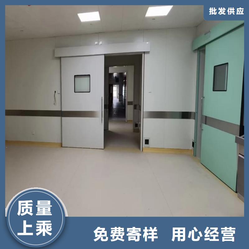 手动双开铅门规格材质
