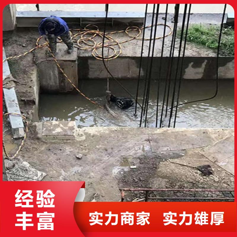 【水下水下清理工程精英团队】