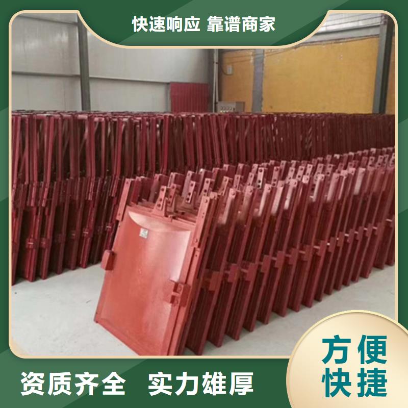 河道铸铁闸门-双向止水铸铁镶铜闸门定制化