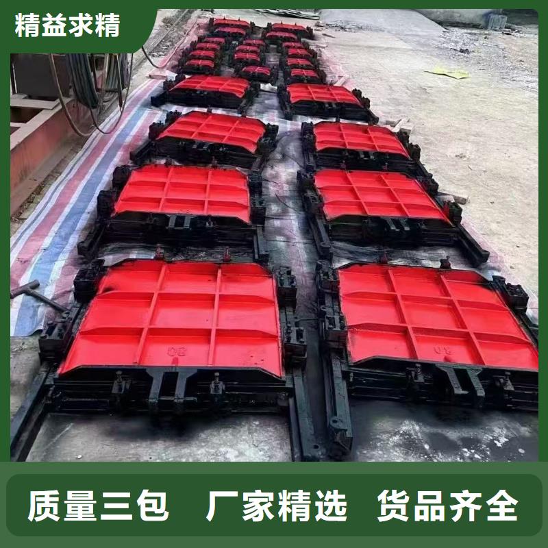 铸铁镶铜闸门-平面闸门带直联启闭机品质卓越